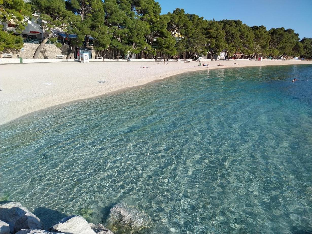 Apartment Summer Point Baska Voda
